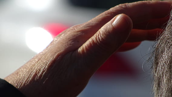 España, merza, mano, mano humana, parte del cuerpo humano, de cerca, parte del cuerpo, centrarse en primer plano, adulto, gente, emoción, luz del sol, mujer, brazo humano, enfoque selectivo, dedo, naturaleza, miembro, dedo humano, adentro, día, cabello humano, extremidad humana, 5K, CC0, dominio público, libre de derechos