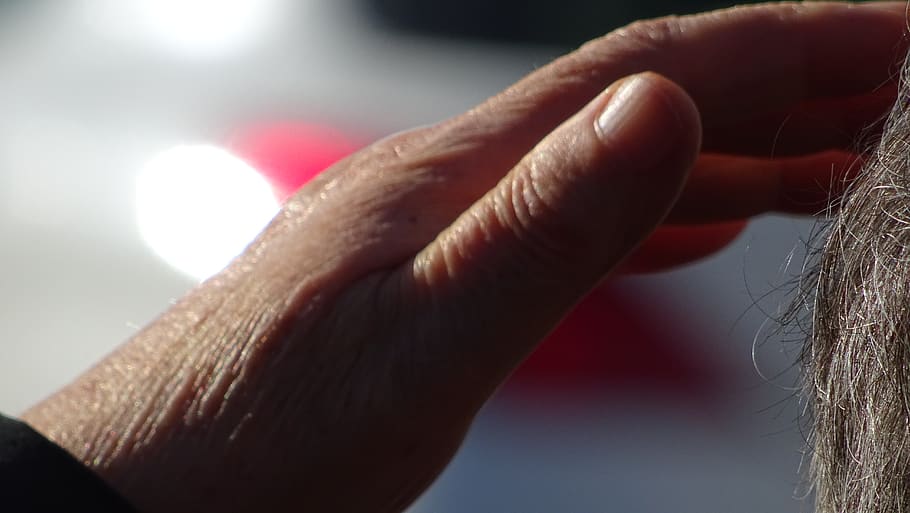España, merza, mano, mano humana, parte del cuerpo humano, de cerca, parte del cuerpo, centrarse en primer plano, adulto, gente, emoción, luz del sol, mujer, brazo humano, enfoque selectivo, dedo, naturaleza, miembro, dedo humano, adentro, día, cabello humano, extremidad humana, 5K