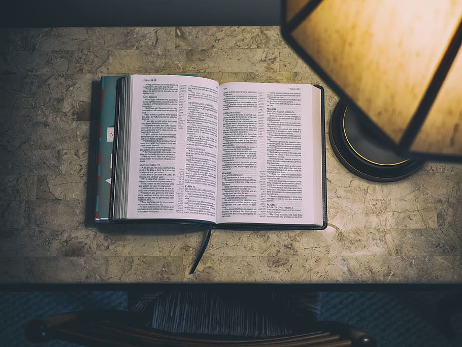 libro, lettura, scrivania, studia, lampada, luce, pubblicazione, in casa, tavolo, vista dall'alto, nessuno, natura morta, Aperto, carta, formazione scolastica, comunicazione, pagina, avvicinamento, letteratura, direttamente sopra, attività, matita, competenza, tecnologia, studiando, 4K