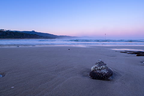 seashell maro, ocean, plajă, apă, mare, noua Zeelanda, papatowai, coastă, în aer liber, natură, scoică, expunere lungă, stâncă, nisip, amurg, apus de soare, coajă, mal, promontoriu, peisaj, cer, scenice - natura, teren, frumusețe în natură, liniște, o scenă liniștită, nici o persoana, obiect de rocă, solid, scenă non-urbană, idilic, Munte, 4K, CC0, domeniu public, fără drepturi de autor