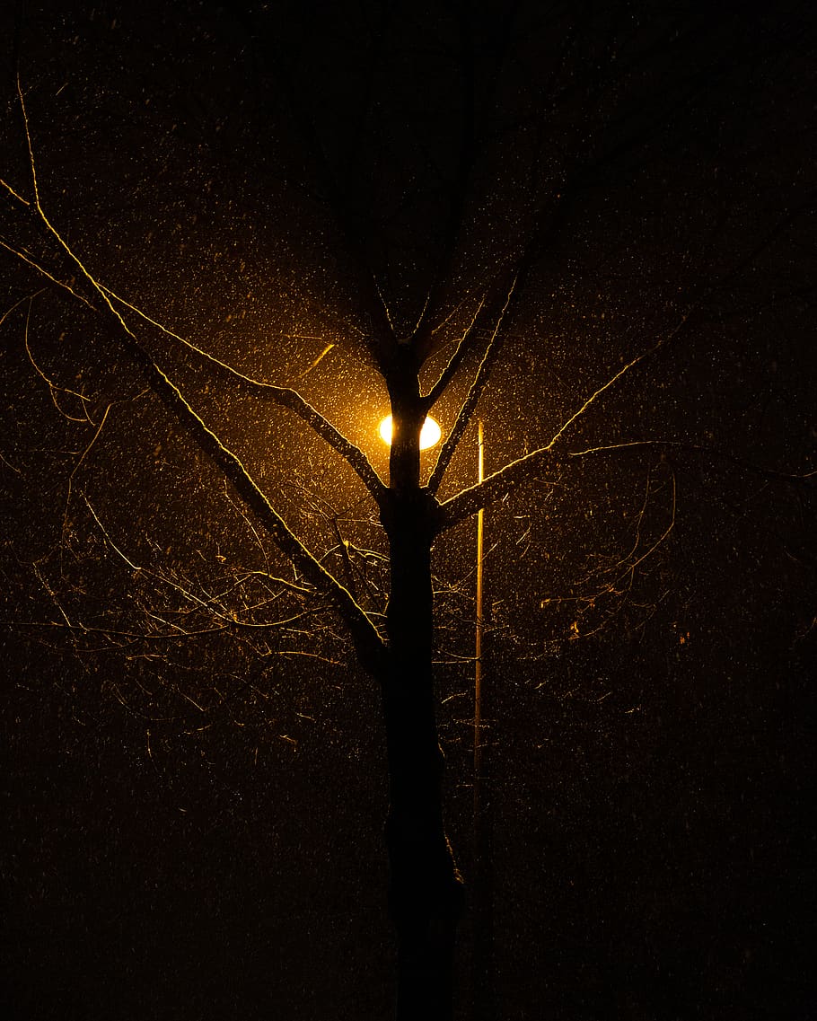 Licht, Fackel, Baum, Regen, Straße, Nacht-, abstrakt, Lampe, Laternenmast, Beleuchtung, Scheinwerfer, Laterne, LED, Silhouette, Spitze, Leuchte, Asphalt, Maschine, Rad, beleuchtet, Elektrizität, Lichtanlage, keine Leute, Strassenlicht, Natur, Technologie, Flachwinkelansicht, Himmel, draußen, dunkel, elektrisches Licht, glühend, Kraftstoff- und Stromerzeugung, Verbindung, Netzteil, 4K