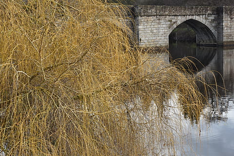 krajobraz, odbicie, drzewo, wierzba, most, woda, limoges, roślina, zbudowana struktura, architektura, dzień, żadnych ludzi, Natura, na zewnątrz budynku, na dworze, siano, rzeka, trawa, łuk, most - struktura stworzona przez człowieka, nabrzeże, most w kształcie łuku, 5K, CC0, domena publiczna, darmowe zdjęcia