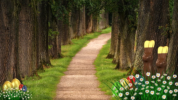 Pasqua, ous de Pasqua, conill de Pasqua, arbre, fusta, naturalesa, herba, planta, el camí a seguir, direcció, creixement, terra, bellesa a la natura, sendera, dia, flor, a l'aire lliure, planta amb flors, tronc de l'arbre, tronc, carretera, perspectiva decreixent, persones reals, camp, treelined, 5K, CC0, domini públic, lliure de regalies