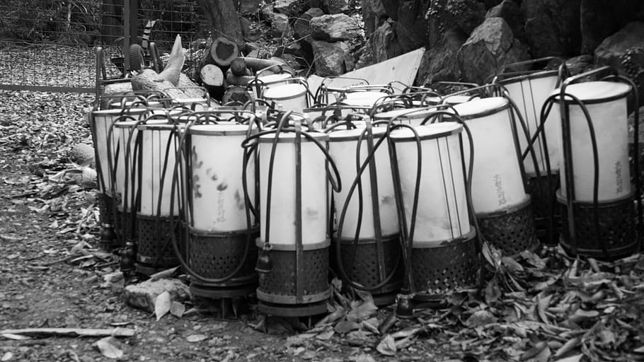 contenedores, tanques, tubos, árbol, naturaleza, día, planta, tierra, nadie, al aire libre, campo, patio delantero o trasero, baño, metal, en pie, lado a lado, bosque, variación, parte de la planta, obsoleto, instrumento musical, envase, barrera, contaminación, 5K