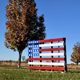 amerikāņu karogs, augu, patriotisms, raksturs, koks, karogs, jomā, debesis, skaidras debesis, zāli, zeme, zils, dienā, saules gaisma, izaugsmi, nav cilvēku, ārā, svītrains, ainavu, 2K, CC0, publiskais domēns, bez atlīdzības