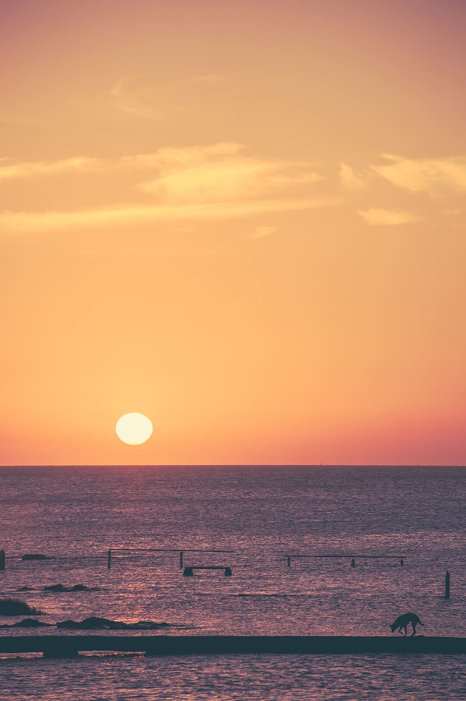 Sol, solnedgång, hund, hav, orange, sky orange, himmel, vatten, horisont över vatten, horisont, scenics - natur, skönhet i naturen, lugn plats, orange färg, lugn, natur, inget folk, moln - himmel, idyllisk, nautiska fartyget, landa, strand, utomhus, 4K