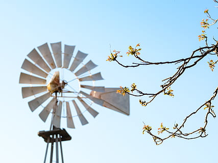 weiße Windmühle, Motor, Windkraftanlage, Turbine, Maschine, Motor-, blauer Himmel, Pole, Laternenmast, Blume, verschwommen, Mühle, Knospen, Land, Bauernhof, Baum, Windmühle, Frühling, Knospe, Horizont, Ast, Himmel, Flachwinkelansicht, Natur, Pflanze, klarer Himmel, Kraftstoff- und Stromerzeugung, erneuerbare Energie, alternative Energie, Tag, Umweltschutz, keine Leute, Schönheit in der Natur, Windkraft, blühende Pflanze, draußen, direkt darunter, 2K, CC0, gemeinfrei, lizenzfrei