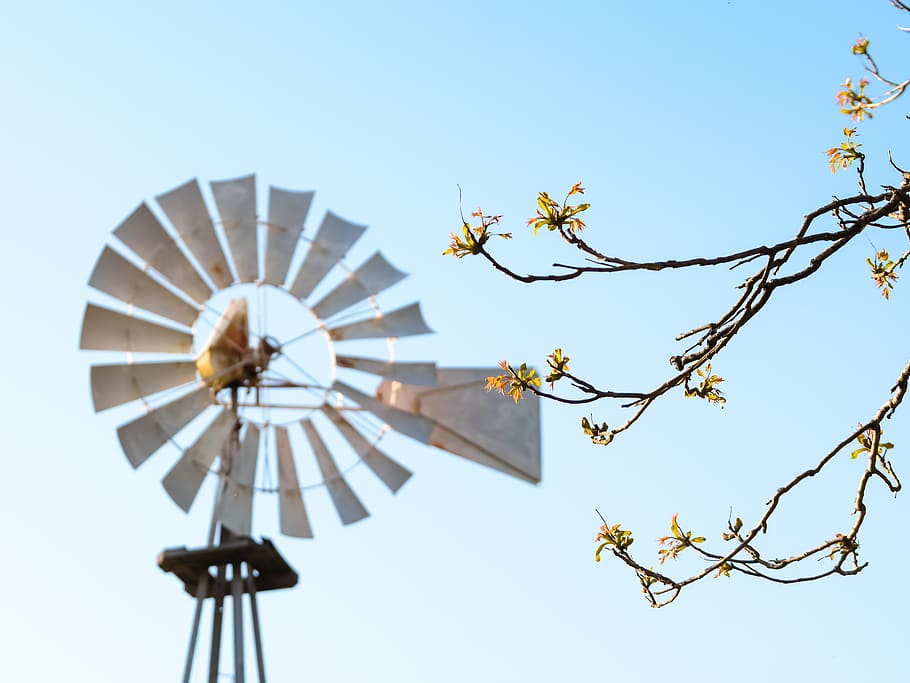 weiße Windmühle, Motor, Windkraftanlage, Turbine, Maschine, Motor-, blauer Himmel, Pole, Laternenmast, Blume, verschwommen, Mühle, Knospen, Land, Bauernhof, Baum, Windmühle, Frühling, Knospe, Horizont, Ast, Himmel, Flachwinkelansicht, Natur, Pflanze, klarer Himmel, Kraftstoff- und Stromerzeugung, erneuerbare Energie, alternative Energie, Tag, Umweltschutz, keine Leute, Schönheit in der Natur, Windkraft, blühende Pflanze, draußen, direkt darunter, 2K