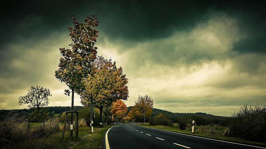 buit, carretera, al costat, arbres, asfalt, núvols, núvols foscos, alba, herba, orientació, paisatge, llum, humor, naturalesa, escènic, posta de sol, arbre, planta, cel, núvol - cel, bellesa a la natura, cap gent, transport, creixement, tranquil·litat, escenics - natura, escena tranquil·la, el camí a seguir, a l'aire lliure, camp, escena no urbana, direcció, terra, 2K