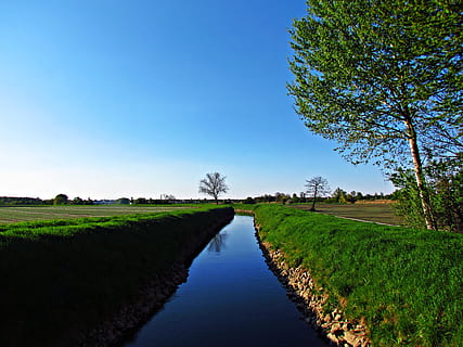 paisatge, primavera, camps, prats, naturalesa, verd, prat, rierol, el rierol, planta, arbre, cel, tranquil·litat, escena tranquil·la, bellesa a la natura, cap gent, aigua, escenics - natura, blau, perspectiva decreixent, herba, camp, creixement, el camí a seguir, direcció, sendera, a l'aire lliure, canal, 4K, CC0, domini públic, lliure de regalies