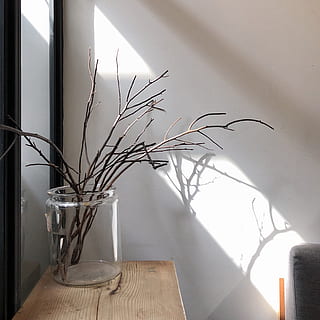 branca marró, art, gerro, ceràmica, planta, ornament, jar, ikebana, arranjament floral, flor, flora, planta en test, cablejat, disseny d'interiors, habitació, menjador, a l'interior, menjar, placa, plat, cap gent, interior de casa, naturalesa, taula, funció de construcció de parets, dia, paret, habitació domèstica, llum solar, material de fusta, Color blanc, equipament per a la llar, ombra, absència, primer pla, casa, vidre, 2K, CC0, domini públic, lliure de regalies