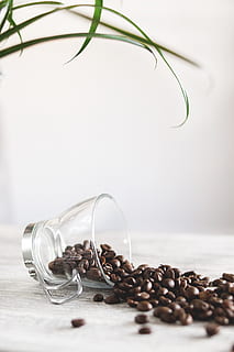 foto, rovesciato, chicchi di caffè, aromatico, caffè, tazza, bicchiere, boccale, natura morta, cibo e bevande, in casa, cibo, vetro - materiale, chicco di caffè tostato, freschezza, tavolo, caffè - bevanda, contenitore, avvicinamento, rinfresco, messa a fuoco selettiva, sfondo bianco, trasparente, nessuno, grande gruppo di oggetti, vaso, bere, caffeina, 5K, CC0, dominio pubblico, privo di copyright