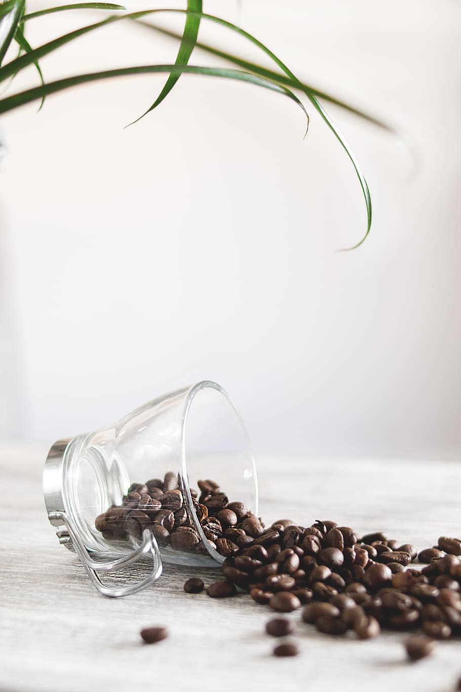 foto, rovesciato, chicchi di caffè, aromatico, caffè, tazza, bicchiere, boccale, natura morta, cibo e bevande, in casa, cibo, vetro - materiale, chicco di caffè tostato, freschezza, tavolo, caffè - bevanda, contenitore, avvicinamento, rinfresco, messa a fuoco selettiva, sfondo bianco, trasparente, nessuno, grande gruppo di oggetti, vaso, bere, caffeina, 5K