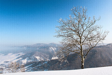 zimní, sníh, nebe, mraky, strom, bříza, hory, krajina, Příroda, mlha, altai, Rusko, mráz, studená teplota, hora, krása v přírodě, rostlina, scenics - příroda, holý strom, klidné scény, klid, modrý, nikdo, pohoří, životní prostředí, čisté nebe, venku, zasněžené hory, 4K, CC0, veřejná doména, bez autorských práv