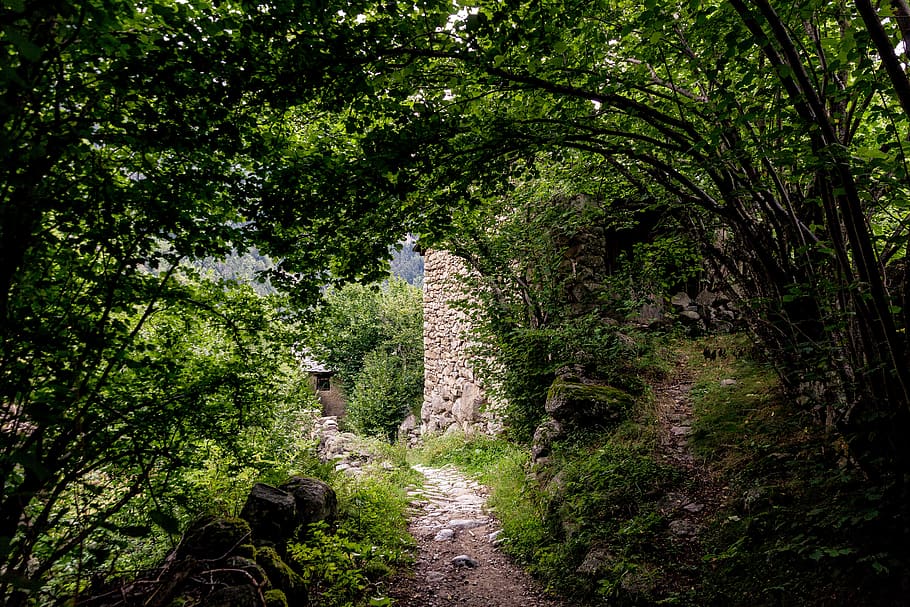 Andorra, Camí, ruta, pista, foret, chemin, passatge, amagat, secret, perdut, bosc, memòria cau, refugi, muntanya, montagne, roques, pierres, naturalesa, perdu, planta, arbre, color verd, terra, creixement, direcció, el camí a seguir, dia, sendera, activitat d'oci, persones reals, arquitectura, una persona, caminar, bellesa a la natura, a l'aire lliure, vista del darrere, 5K