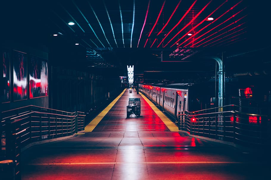 veicolo sul tunnel, illuminazione, corrimano, ringhiera, Grand Central Station, Stati Uniti d'America, corridoio, veicolo, mezzi di trasporto, treno, terminale, pavimentazione, stazione ferroviaria, riflessione, New York, contrasto, metropolitana, luce, pavimento, guidato, architettura, illuminato, struttura costruita, modo di trasporto, la strada davanti, persone reali, direzione, trasporto pubblico, una persona, viaggio, persone accessorie, in casa, stili di vita, notte, attrezzatura per l'illuminazione, rosso, soffitto, uomini, lunghezza intera, prospettiva decrescente, colonna architettonica, 5K
