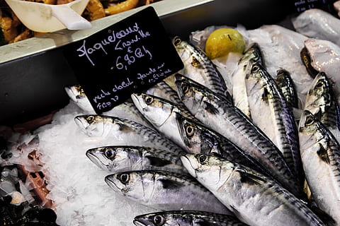 frosne fisk, fisk og skaldyr, mad, mad og drikke, fisk, marked, friskhed, detail, hvirveldyr, til salg, prisskilt, markedsbod, velvære, rå fødevarer, sund kost, tekst, dyr, valg, ingen mennesker, høj vinkel visning, stor gruppe af objekter, is, fiskemarked, salg, detailvisning, fiskeindustrien, forbrugerisme, 5K, CC0, offentligt domæne, royaltyfrie