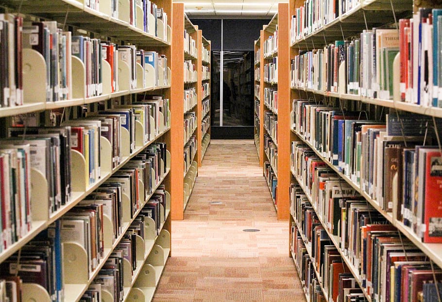 mensola, libreria, biblioteca, riga, ordine, formazione scolastica, pubblicazione, libro, apprendimento, scaffale, di fila, grande gruppo di oggetti, in casa, Università, scuola, architettura, abbondanza, prospettiva decrescente, persone, saggezza, letteratura, corridoio, studiando, 4K
