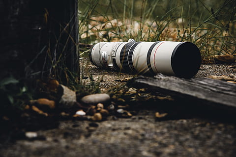 telefotozoomobjektiv, teknologi, kamera, selektiv fokusering, dag, natur, landa, fält, inget folk, utomhus, närbild, växt, nöt, solljus, fortfarande liv, skog, jord, människobeslag, träd, man gjort, trämaterial, ekollon, 4K, CC0, offentligt domän, royaltyfria