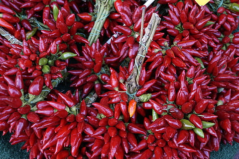 chilli, ostrý, Červené, jídlo a pití, jídlo, zeleniny, pepř, chilli papričky, koření, svěžest, velká skupina objektů, blahobyt, celý rám, hojnost, Zdravé stravování, červené chilli papričky, pozadí, stálý život, trh, detail, nikdo, vysoký úhel pohledu, 5K, CC0, veřejná doména, bez autorských práv