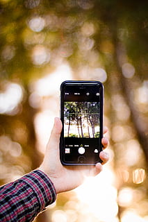 person, holding, smartphone, taking, photo, woods, golden, hour, camera, digital, hand, iphone, photographer, photography, pov, taking photo, technology, touch, touchscreen, smart phone, portable information device, wireless technology, photography themes, mobile phone, human hand, photographing, communication, real people, one person, focus on foreground, human body part, screen, leisure activity, telephone, using phone, tree, outdoors, finger, 5K, CC0, public domain, royalty free