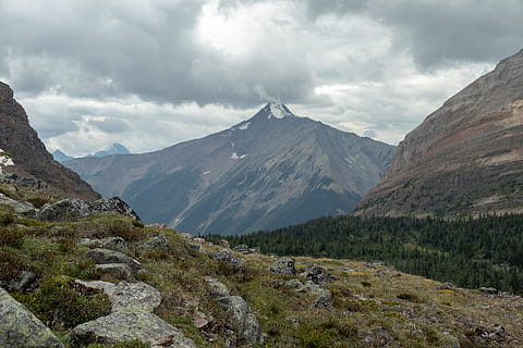 Canada, Mount Schaffer, bjerg, træ, vandring, græs, Skov, himmel, sky - himmel, skønhed i naturen, scenics - natur, miljø, rolig scene, landskab, ikke-urbane scene, bjergkæde, natur, ro, ingen mennesker, jord, dag, idyllisk, bjergtop, udendørs, fysisk geografi, snedækket bjerg, bjergrygge, 5K, CC0, offentligt domæne, royaltyfrie