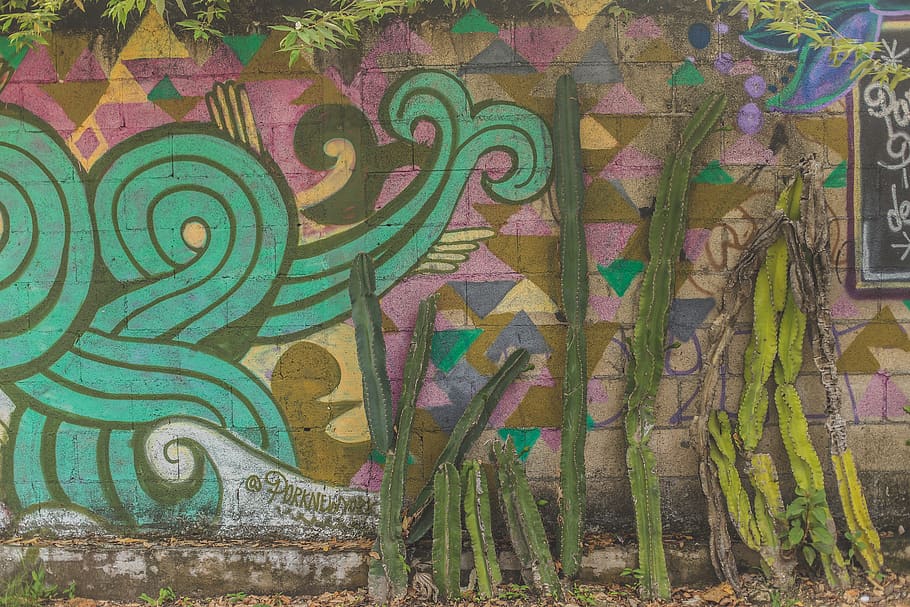 graffiti, Esplorare, inverno, estate, viaggio, voglia di girovagare, CACTU, Messico, artista, fotografia, strada, arte di strada, arte, multicolore, creatività, modello, nessuno, arte e artigianato, design, giorno, caratteristica della parete, parete, architettura, all'aperto, struttura costruita, sfondi, vista dall'alto, fotogramma intero, motivo floreale, avvicinamento, mestiere, pavimentazione, murale, 5K