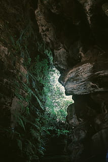 cave during daytime, rock, rock - object, solid, beauty in nature, rock formation, nature, no people, tranquility, tree, growth, day, cave, geology, plant, land, scenics - nature, outdoors, water, physical geography, non-urban scene, eroded, flowing, flowing water, 5K, CC0, public domain, royalty free