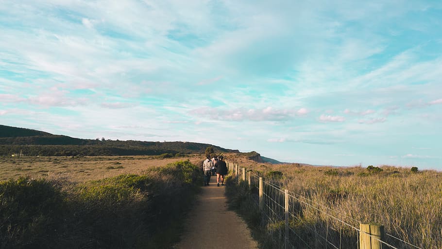 Austràlia, anglesea, cel, núvols, Costa, costaner, mar, penya-segat, caminar, paisatge, tarda, sol, mòbil, fotografia mòbil, lg g4, ordinador de mà, dispositiu, gent, naturalesa, núvol - cel, planta, herba, mamífer, animals domèstics, camp, dia, nacional, terra, mascotes, bestiar, escena no urbana, animal, bellesa a la natura, temes d'animals, medi ambient, el camí a seguir, a l'aire lliure, herbívors, 4K