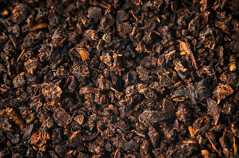 té, de cerca, comida, fotograma completo, comida y bebida, insecto, nadie, abundancia, invertebrado, naturaleza, antecedentes, temas de animales, animal, gran grupo de animales, enfoque selectivo, marrón, grupo de animales, abeja, Colmena, animales en la naturaleza, día, 4K, CC0, dominio público, libre de derechos