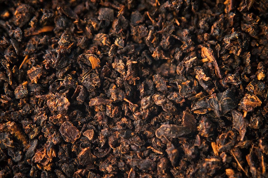 té, de cerca, comida, fotograma completo, comida y bebida, insecto, nadie, abundancia, invertebrado, naturaleza, antecedentes, temas de animales, animal, gran grupo de animales, enfoque selectivo, marrón, grupo de animales, abeja, Colmena, animales en la naturaleza, día, 4K
