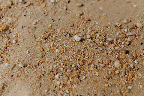 sand beach background, sea shells, &, pebbles, -, many, round, small, stones, beach, sand, background, texture, pattern, shells, seashells, full frame, no people, backgrounds, close-up, food, land, brown, food and drink, textured, selective focus, day, outdoors, dirt, nature, sweet food, cereal plant, wellbeing, 5K, CC0, public domain, royalty free