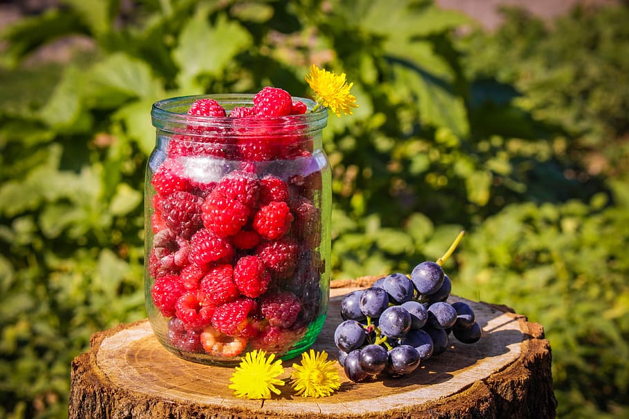 gerds, estiu, vermell, vitamines, nutrició, fresc, baia, dolç, naturalesa, menjar, flors, raïm, poble, monyó, assolellat, sucós, verd, groc, útil, orgànic, madur, banc, composició, verds, alimentació saludable, fruita, menjar i beguda, fruites de baies, frescor, benestar, maduixa, contenidor, centrar-se en primer pla, cap gent, nabiu, planta, equipament per a la llar, primer pla, refresc, full, vidre, antioxidant, 4K