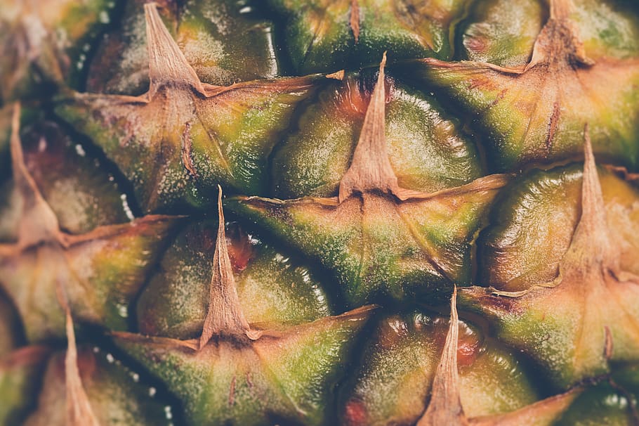 pinya verda, primer pla, fruita, patró, pinya, textura, fruita tropical, menjar i beguda, frescor, menjar, cap gent, benestar, alimentació saludable, fons, color verd, marc complet, planta, natura morta, dia, naturalesa, enfocament selectiu, detall, part de la planta, madur, 5K