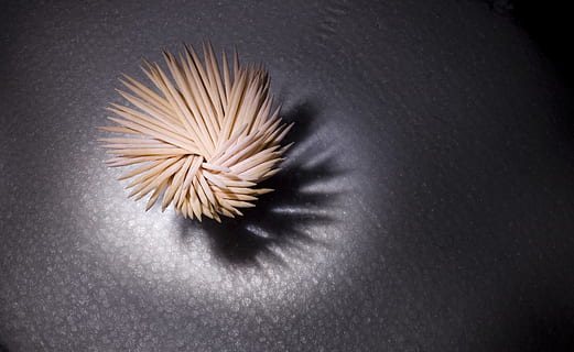 abstract, fundal, usturător, curat, a închide, proiecta, eleganţă, alimente, izolat, macro, alege, ascuțit, frigare, dinte, scobitoare, toothy, ustensilă, lemn, de lemn, nici o persoana, studio shot, în interior, gri, fundal gri, vedere în unghi mare, natură moartă, Fundal negru, vulnerabilitate, igienă, natură, plantă, simplitate, direct deasupra, prospeţime, fragilitate, texturată, un singur obiect, moliciune, 2K, CC0, domeniu public, fără drepturi de autor