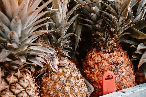 frutti di ananas, pianta, cibo, ananas, frutta, produrre, bicchiere, mercato, verdura, Porro, negozio, negozio di alimentari, marmellata, Melograno, papaia, armi, arma, coltello, lama, Figura, pentola, nessuno, cibo e bevande, avvicinamento, Al dettaglio, in vendita, giorno, fotogramma intero, scelta, mangiare sano, frutta tropicale, benessere, foglia, all'aperto, natura, freschezza, sfondi, 5K, CC0, dominio pubblico, privo di copyright