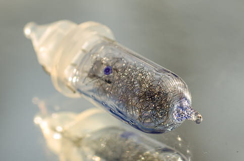 string lyspære, glass, lyspære, refleksjon, gjennomsiktig, dyr, ett dyr, dyre temaer, nærbilde, vann, ingen folk, glass - materiale, natur, fisk, studio skudd, innendørs, dyreliv, enkelt objekt, virveldyr, svømme~~POS=TRUNC, dyr i naturen, fokusere på forgrunnen, marine, dyr hode, renhet, dyrebar perle, 2K, CC0, offentlig domene, opphavsrett gratis