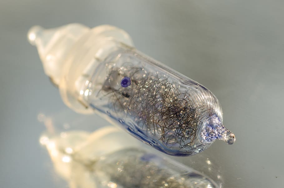bombeta de corda, vidre, bombeta, reflexió, transparent, animal, un animal, temes d'animals, primer pla, aigua, cap gent, vidre - material, naturalesa, peix, tir de l'estudi, a l'interior, fauna animal, sol objecte, vertebrats, nedar, animals a la natura, centrar-se en primer pla, marí, cap d’animals, puresa, joia preciosa, 2K