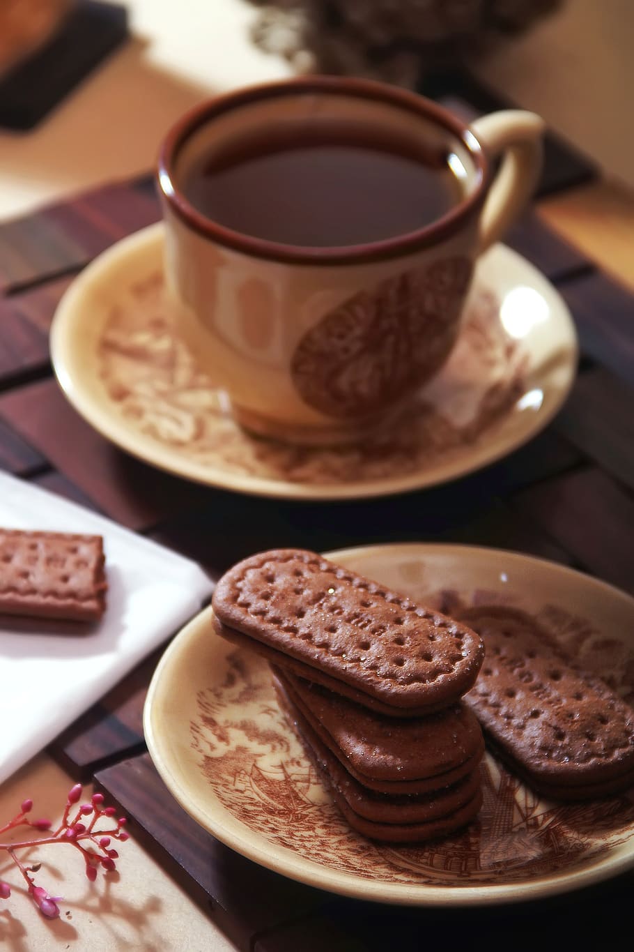 galetes de xocolata, al costat, cafè amb xocolata, galetes, esmorzar, ceràmica, primer pla, tassa de cafè, tassa, fosc, deliciós, beure, menjar, calenta, beguda calenta, xocolata calenta, a l'interior, al matí, plat, saborós, te, menjar i beguda, refresc, frescor, cafè, al forn, cafè - beguda, cap gent, menjar dolç, placa, postres, taula, vaixella, tassa de te, temptació, motiu floral, 2K