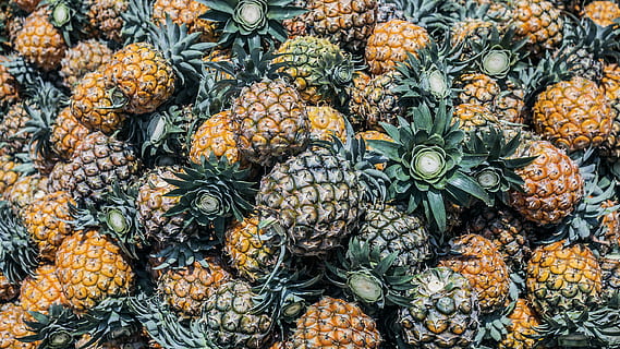 lot de fruites de pinya, planta, pinya, menjar, fruita, edifici, arquitectura, torre, Torre del Rellotge, cítrics, plat, taronja, meló, melmelada, fig, papaia, nabiu, síndria, porro, alimentació saludable, marc complet, menjar i beguda, fons, frescor, fruita tropical, benestar, cap gent, gran grup d'objectes, mercat, abundància, dia, venda al detall, primer pla, natura morta, a la venda, a l'aire lliure, 2K, CC0, domini públic, lliure de regalies