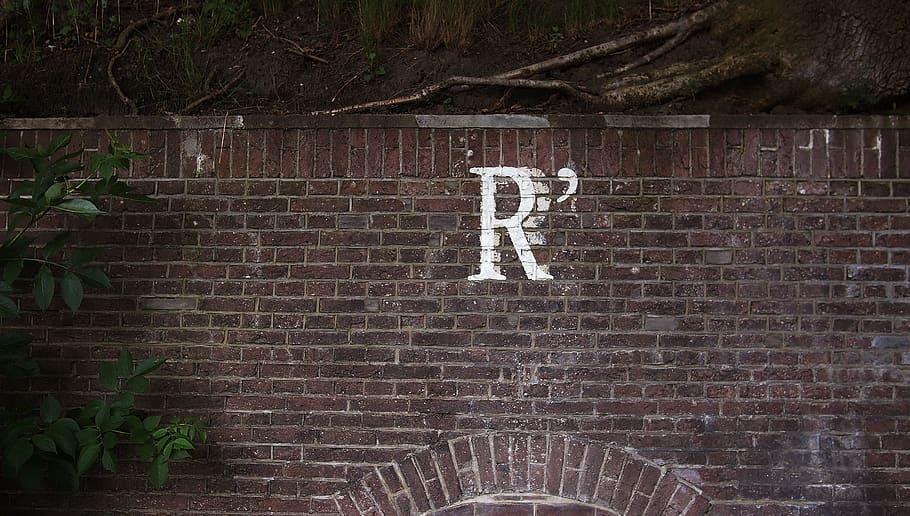 braune Betonsteine, Ziegelwand, Wand, Backstein, Kommunikation, Text, keine Leute, die Architektur, Wandbau - Funktion, Tag, westliche Schrift, gebaute Struktur, Kreativität, Pflanze, Graffiti, menschliche Darstellung, Darstellung, Zeichen, draußen, Kunst und Handwerk, Baum, 2K