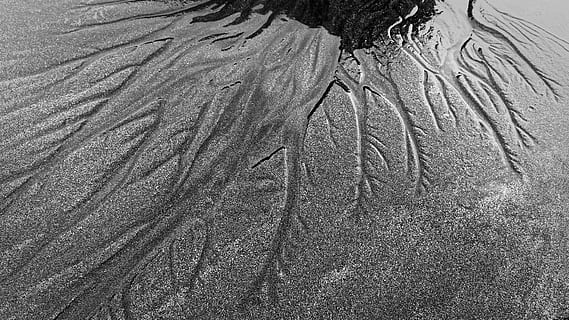 spiaggia, sabbia, modello di drenaggio, struttura dendritica, Scozia, isola di mull, fotogramma intero, terra, modello, strutturato, nessuno, natura, giorno, sfondi, all'aperto, bellezza nella natura, la tranquillità, modello naturale, deserto, vista dall'alto, avvicinamento, luce del sole, scena non urbana, clima arido, 4K, CC0, dominio pubblico, privo di copyright