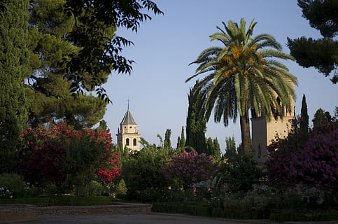 alhambra, plante, træ, bygget struktur, arkitektur, vækst, religion, tro, sted for tilbedelse, himmel, bygning udvendig, natur, spiritualitet, bygning, ingen mennesker, dag, tropisk klima, skønhed i naturen, udendørs, Spir, 4K, CC0, offentligt domæne, royaltyfrie