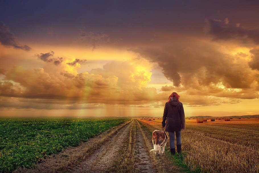 paesaggio, tramonto, cielo, nuvole, donne, campo, cane, domestico, mammifero, un animale, animali domestici, nuvola - cielo, canino, uomini, lunghezza intera, adulto, natura, terra, bellezza nella natura, all'aperto, 5K
