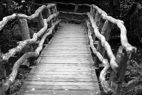 Brücke, Wald, Pfad, Fluss, keine Leute, Holz - Material, der Weg nach vorn, Richtung, Natur, Tag, die Architektur, Holz, gebaute Struktur, Wasser, Baum, Geländer, Treppe, Land, Verbindung, Fußweg, draußen, leeren, Steg, 5K, CC0, gemeinfrei, lizenzfrei