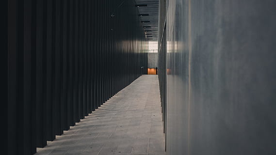 gray concrete wall, architecture, blur, bridge, building, business, city, corridor, dark, guidance, light, modern, pavement, reflection, shadow, street, subway system, tunnel, urban, no people, built structure, direction, the way forward, day, building exterior, in a row, outdoors, wall - building feature, nature, staircase, arcade, pattern, absence, diminishing perspective, 4K, CC0, public domain, royalty free