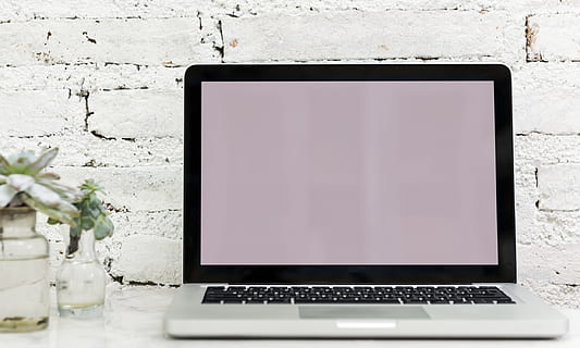 blank, computer, apparat, digital, digital enhed, bærbar, mockup, notesbog, plante, plads, trådløs, teknologi, trådløs teknologi, meddelelse, kopiere plads, forbindelse, ingen mennesker, skærm, hvid farve, computerudstyr, sort farve, blomst, bord, enhed skærmen, computer netværk, computerskærm, forretning, blomstrende plante, moderne, tastatur, global kommunikation, 1080P, CC0, offentligt domæne, royaltyfrie