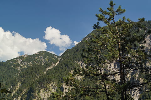 Berg, Baum, Himmel, Wolken, Nadelbaum, Nadeln, Blau, Grün, Tannenbaum, Natur, Wildnis, alpin, Landschaft, Pflanze, Schönheit in der Natur, Ruhe, wolke - himmel, ruhige Szene, Szenen - Natur, Wachstum, grüne Farbe, keine Leute, Tag, Nicht-städtische Szene, Flachwinkelansicht, idyllisch, draußen, Umgebung, Fernbedienung, 5K, CC0, gemeinfrei, lizenzfrei