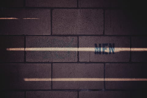 brickwall, bricks, pattern, sunlight, wall, wall - building feature, no people, shadow, architecture, built structure, indoors, tile, close-up, full frame, flooring, night, illuminated, backgrounds, brick, 8K, CC0, public domain, royalty free