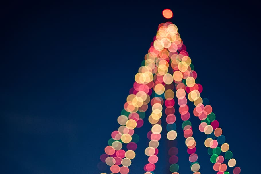 llums multicolors de bokeh, Nadal, festa, llums, bokeh, llum, estacional, color, fora de focus, creatiu, urbà, a l'aire lliure, borrós, fons de nadal, fons de pantalla de Nadal, fons de pantalla, fons, Estats Units, platja de pismo, moll de platja de pismo, celebració, decoració, il·luminat, arbre de Nadal, llums de Nadal, decoració de Nadal, cap gent, forma, cel, defocated, multicolor, arbre, nit, fons de colors, naturalesa, blau, esdeveniment de celebració, còpia espai, fons blau, 5K